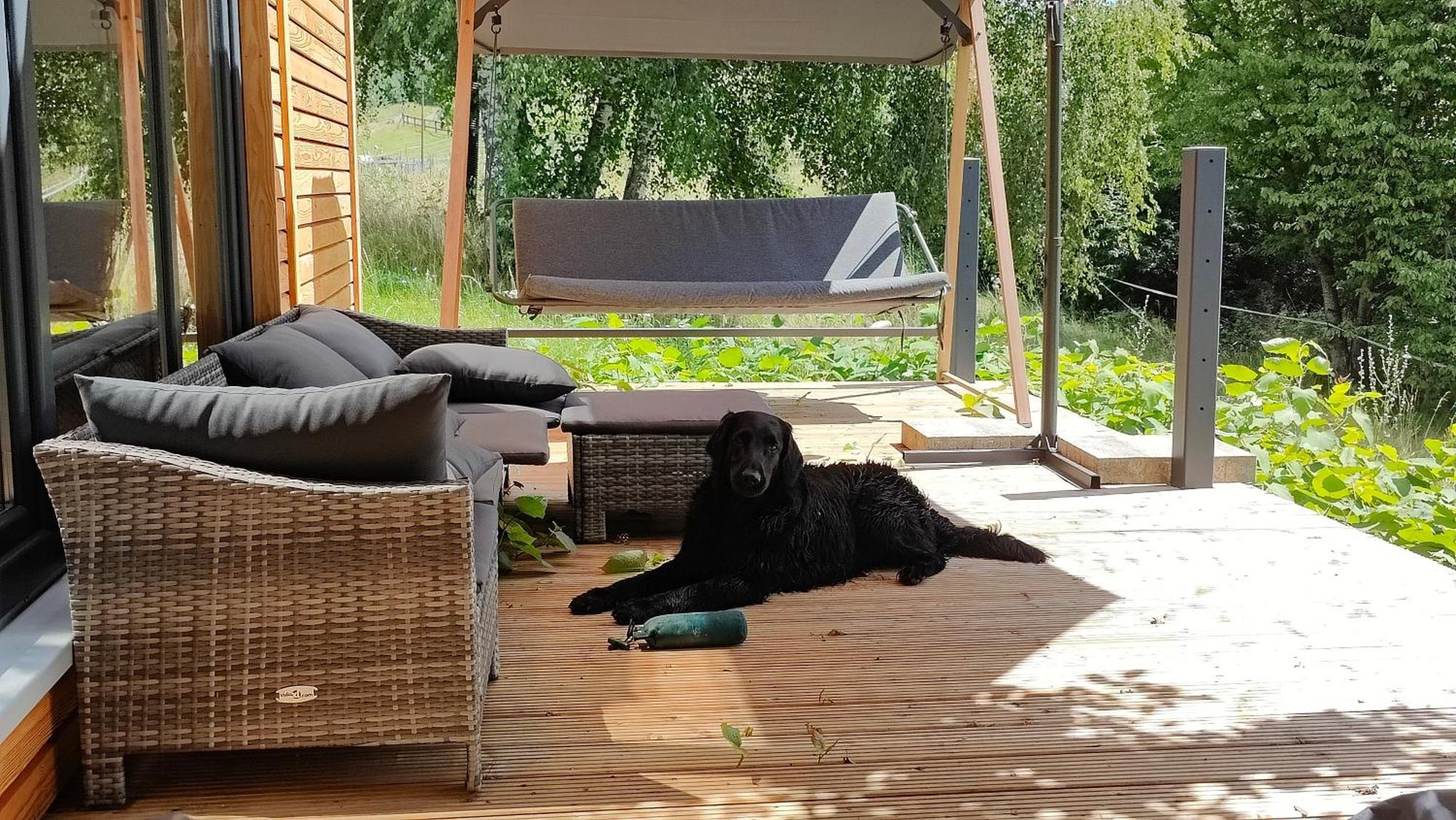 Tinyhousebeidresden 3 Fuer 2 - 7 Personen, Naehe Saechsische Schweiz, Dresden, Mit Badeteich Villa Großharthau Eksteriør bilde